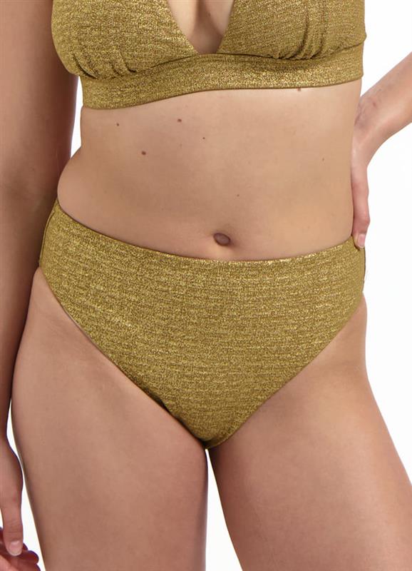 Desert Glow high waist bikini bottom CSW226A188